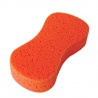 Wash Sponge 