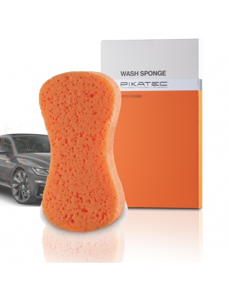 Wash Sponge 